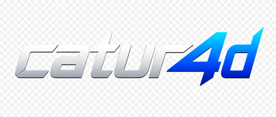 Logo catur4d untuk navigasi beranda